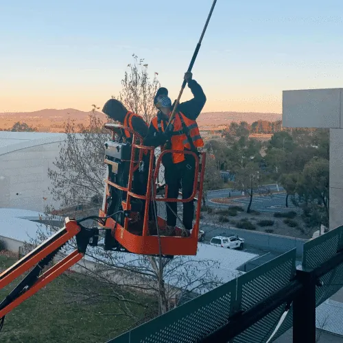 Two masked workers in orange hi-vis in a boom lift basket at sunset, one working a long telescopic pole